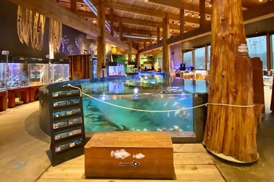 Ucluelet Aquarium Fundraisers