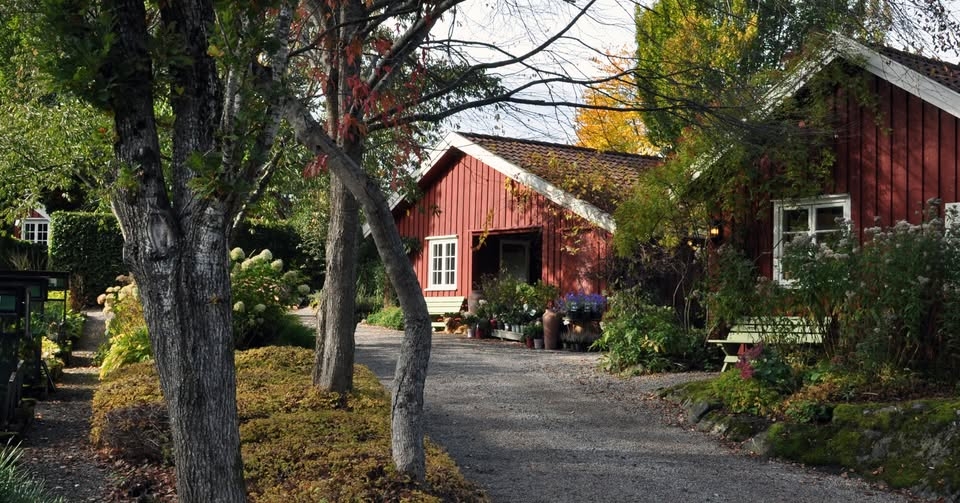 Hyggelig høstlørdag hos Lundbergs Planteskole