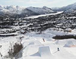 Hovden Aplinsenter