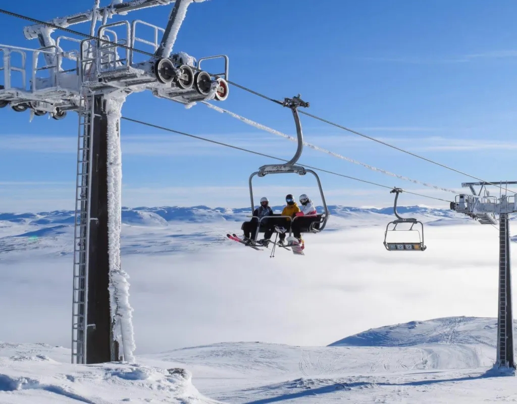 Hovden Aplinsenter