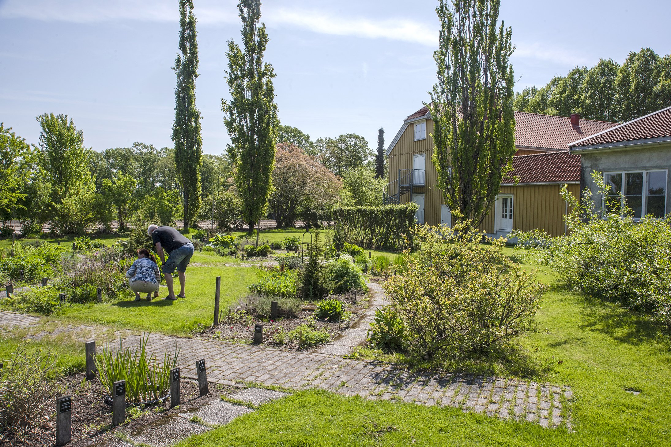 Ibsens urtehage. Photo: Ibsens urtehage på Dømmesmoen. Foto: Gerd Corrigan (Grimstad bys museer)