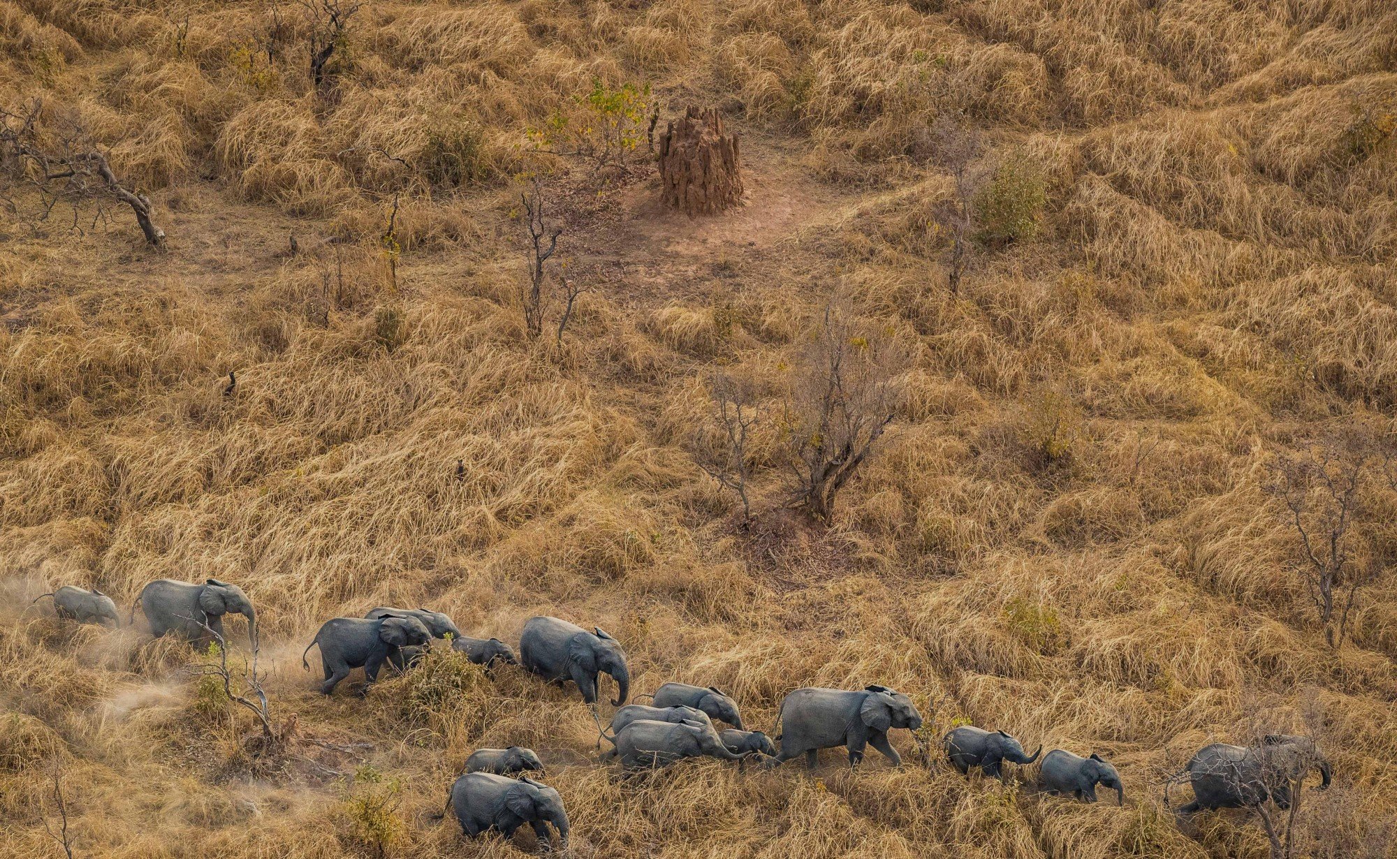 Pendjari National Park. Photo: © Marcus Westberg / African Parks