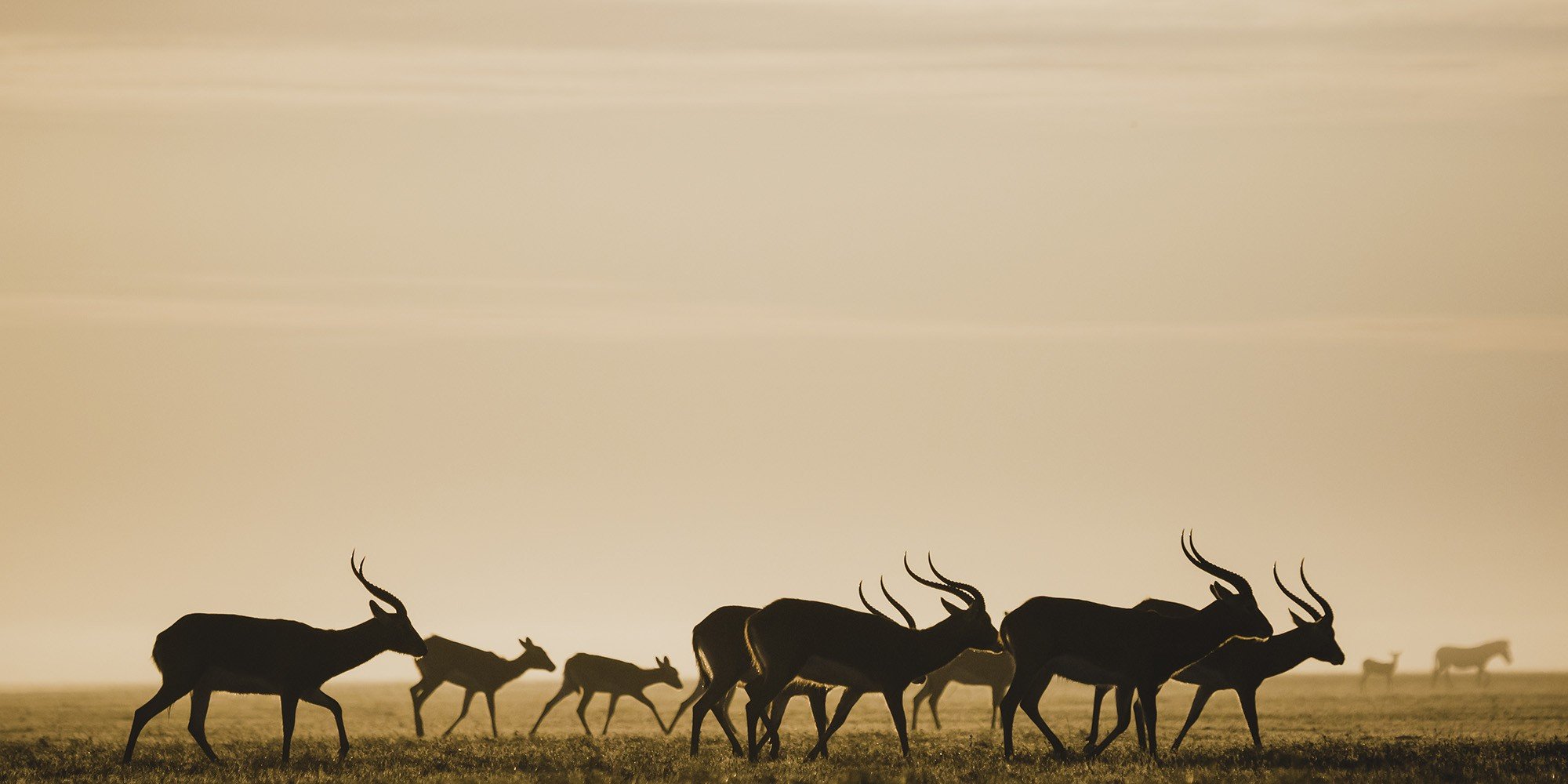 Bangweulu Wetlands. Photo: © Lorenz Fischer / African Parks