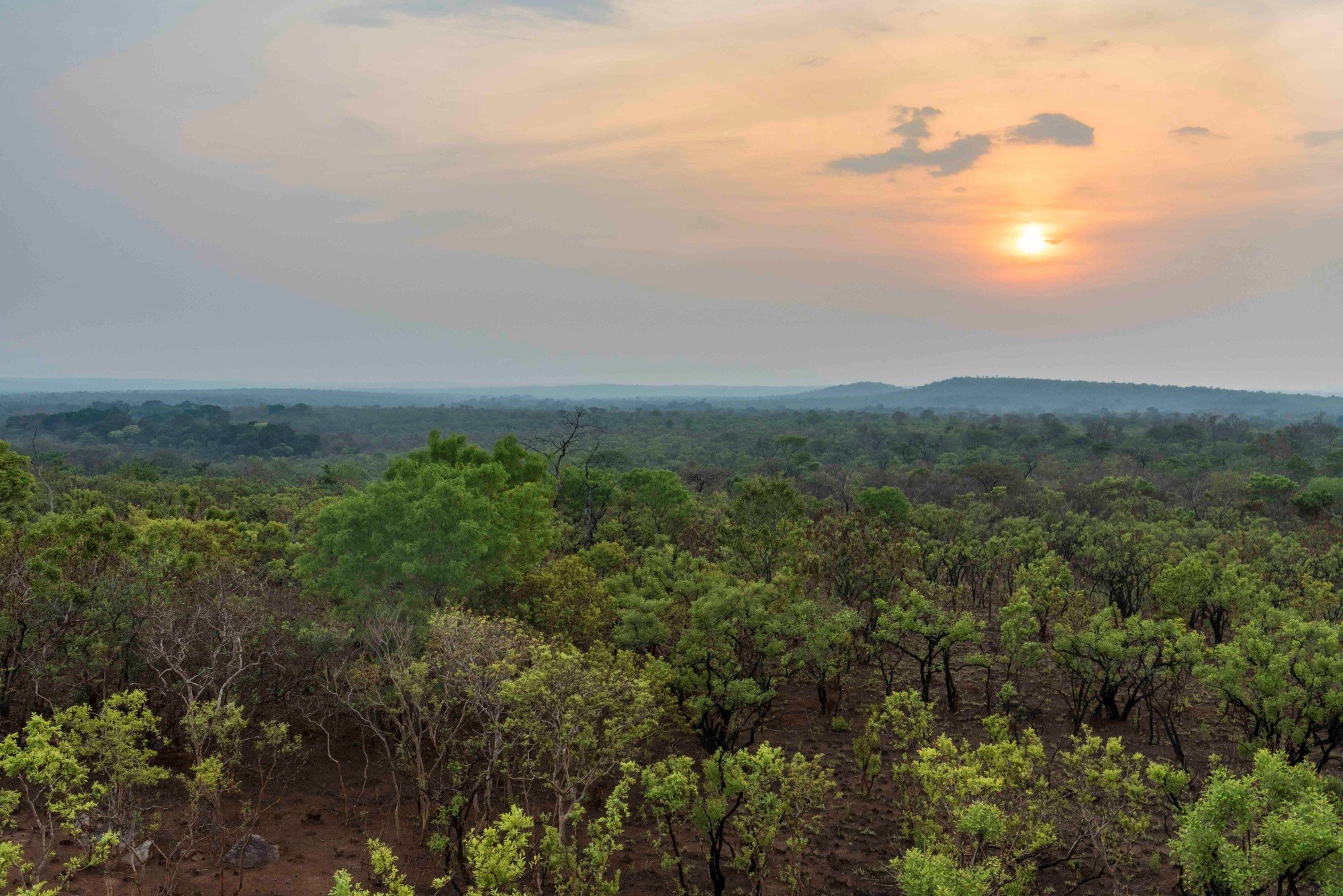 Chinko. Photo: © Marcus Westberg / African Parks