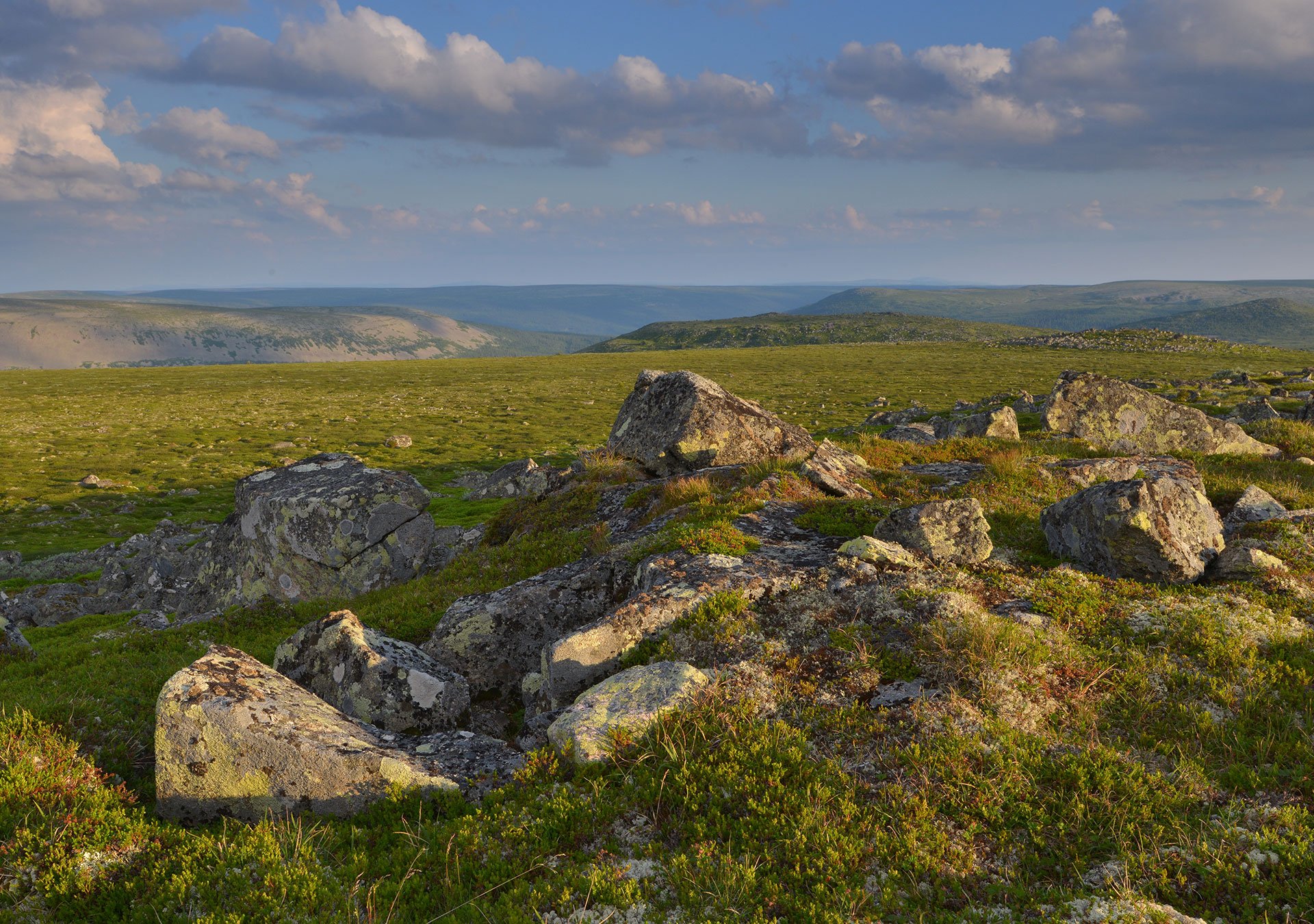 Slottet. Photo: Slottet. Foto: Trygve Opseth (Fulufjellet nasjonalpark)