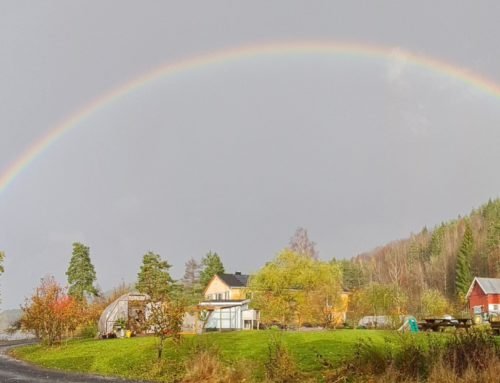 Slettene Hage. Photo: Foto: Slettene Hage