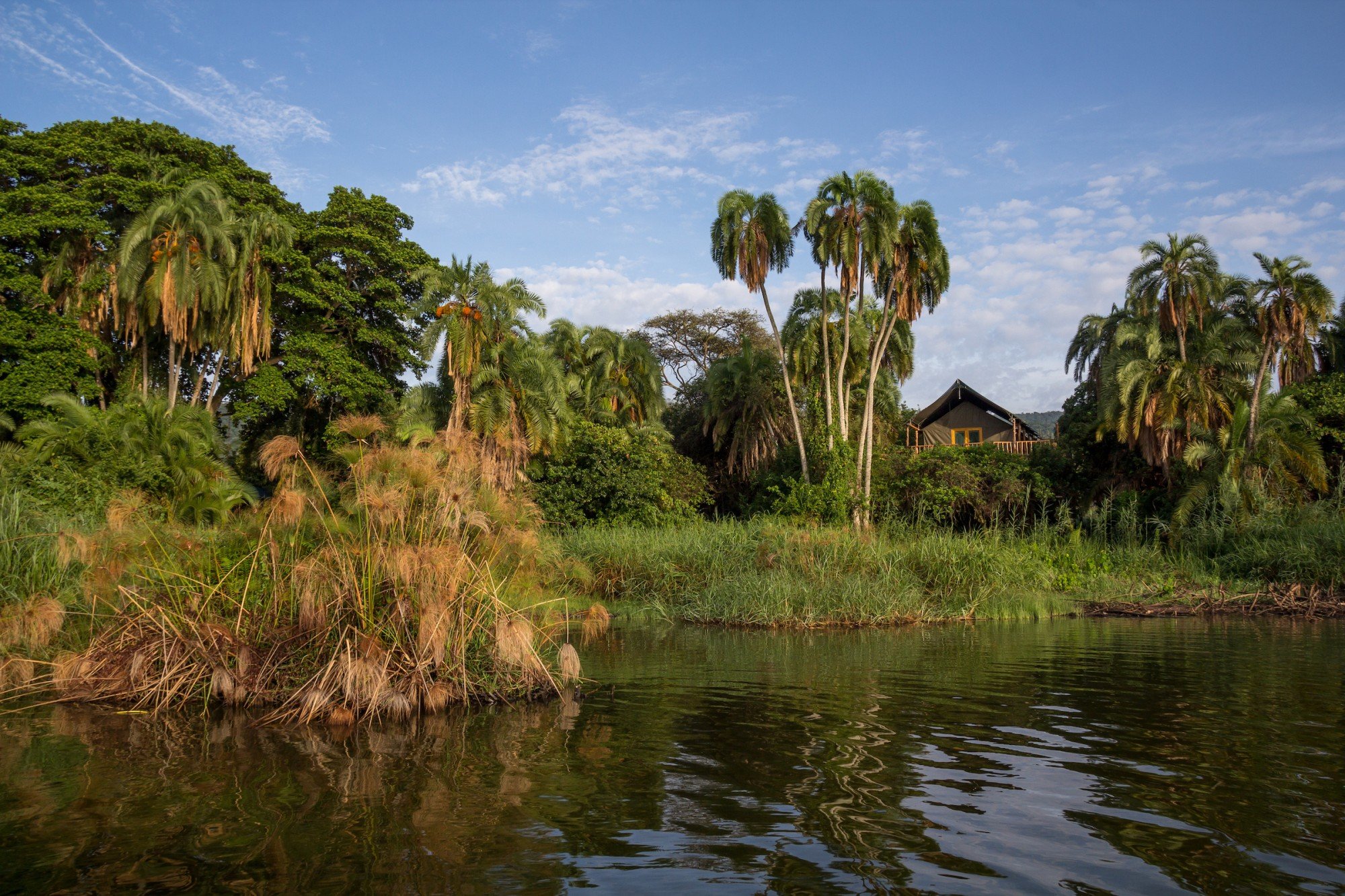 Akagera National Park. Photo: © John Dickens / African Parks