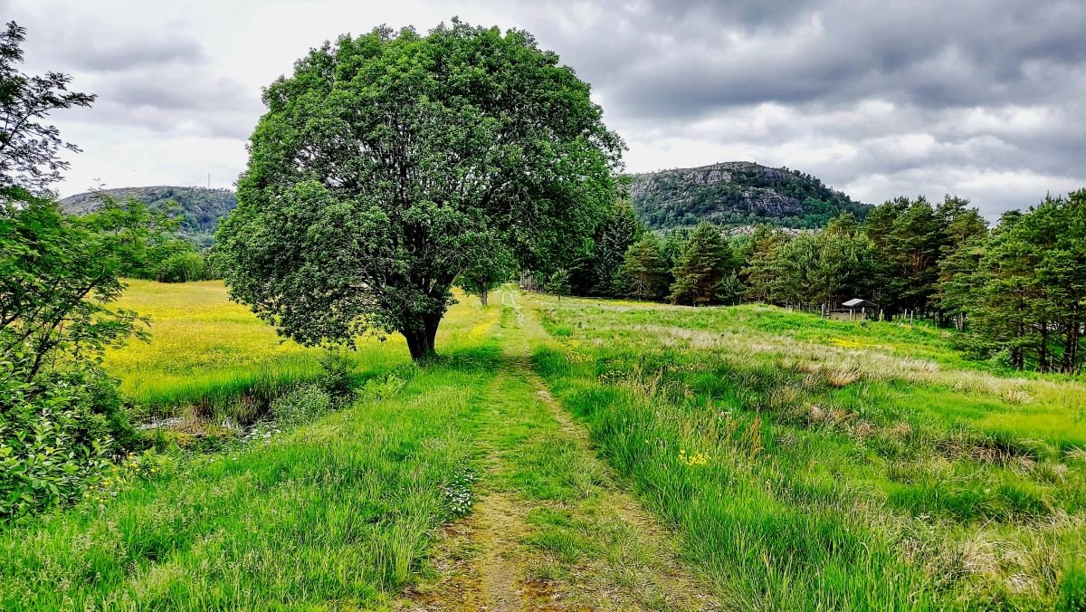 Den trondhjemske postvegen. Photo: Foto: Nordhordland Biosfære (nordhordlandskart.no)