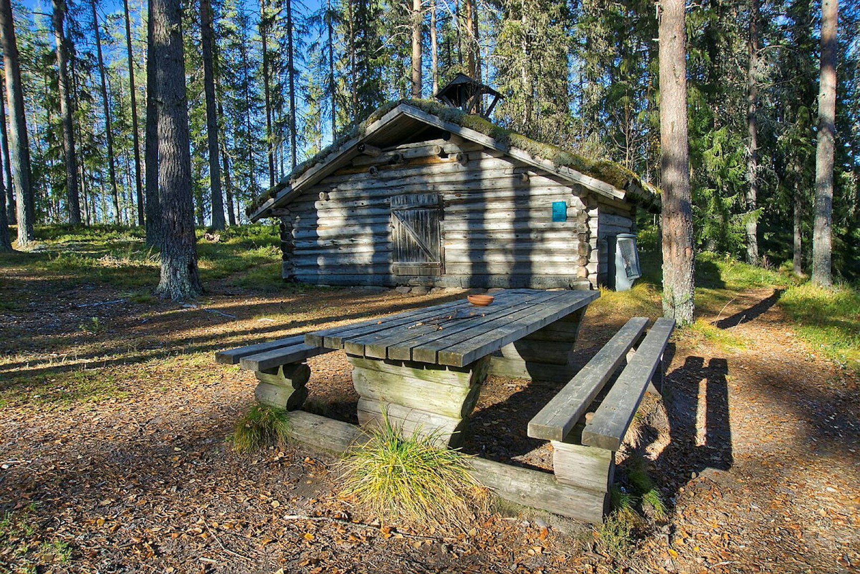 Ljørkoia ved Kalvskinnsøra. Photo: Ljørkoia ved bredden av Ljøra. Foto: Torkel Skoglund (Statskog)