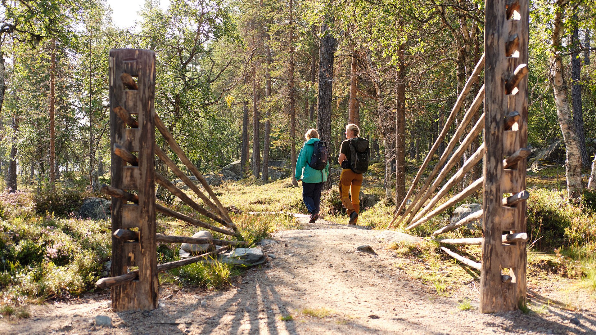 Innfallsport Gutulisjøen. Photo: Foto: Tom Gustavsen (Gutulia nasjonalpark)