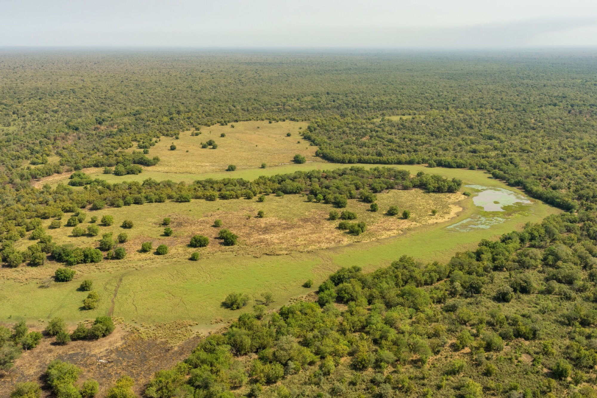 Siniaka Minia National Park. Photo: © Marcus Westberg / African Parks