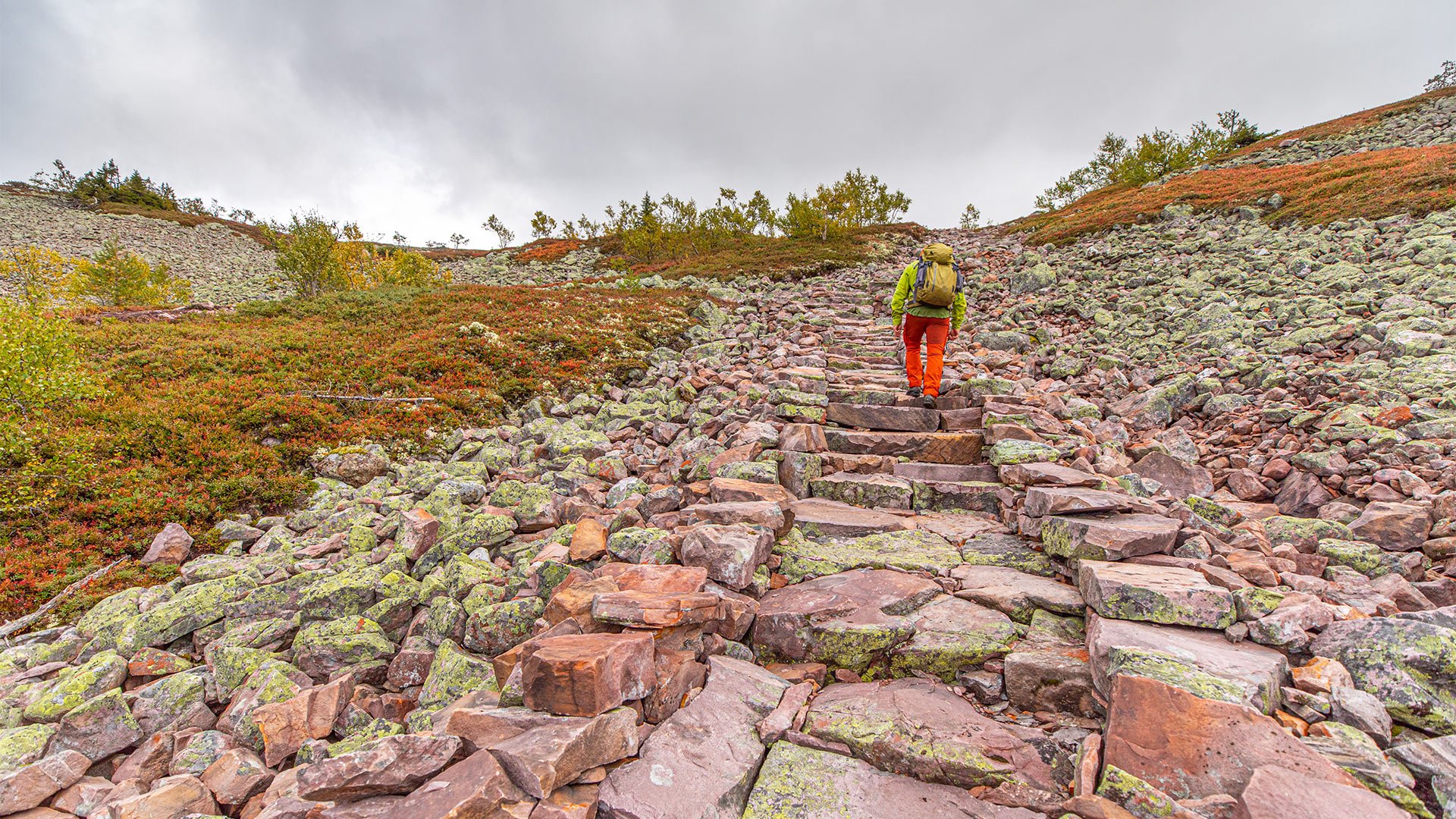 Vestertangrøysa – riksrøys 127. Photo: Steinlagt sti i Fulufjellet. Foto: Henrik Strømstad (Fulufjellet nasjonalpark)