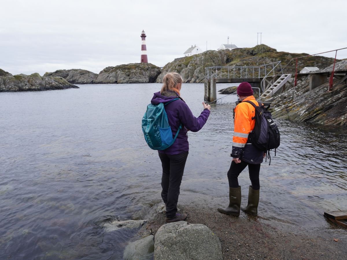 Sildevågen på Fedje. Photo: Foto: Nordhordland Biosfære (nordhordlandskart.no)