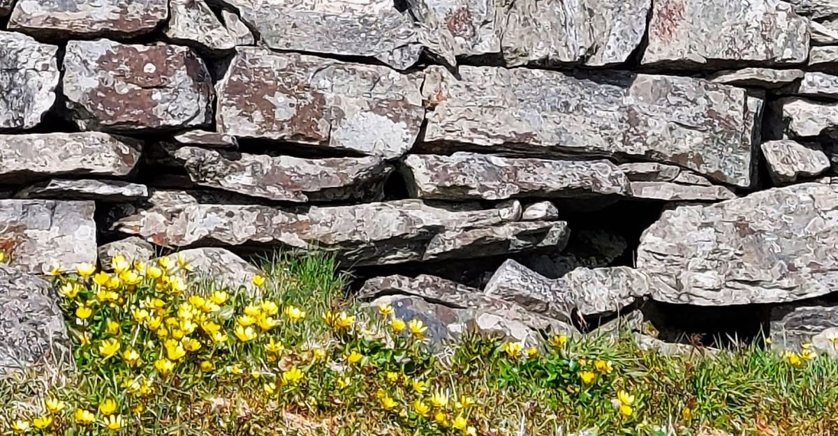 Gråstein-landet. Photo: Foto: Nordhordland Biosfære (nordhordlandskart.no)
