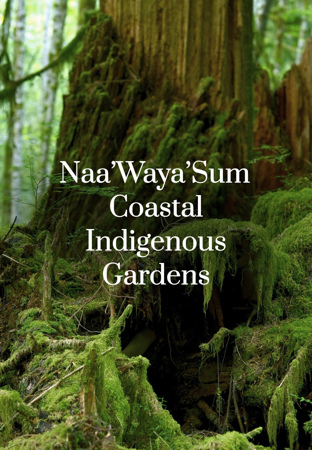 Clayoquot Campus / Naa’Waya’Sum Gardens. Photo: Source: Clayoquot Campus; photographer not stated