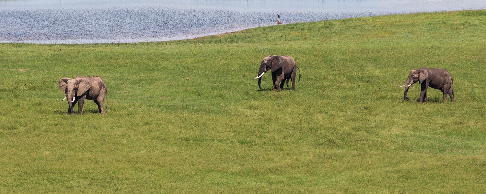 Matusadona National Park. Photo: © Scott Ramsay / African Parks