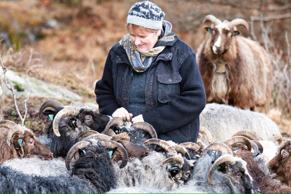 Osterøy Ysteri. Photo: Foto: Nordhordland Biosfære (nordhordlandskart.no)