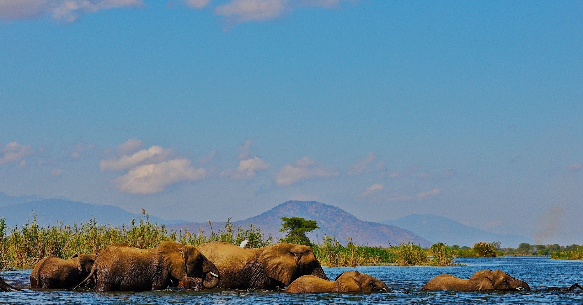 Liwonde National Park. Photo: © Frank Weitzer / African Parks