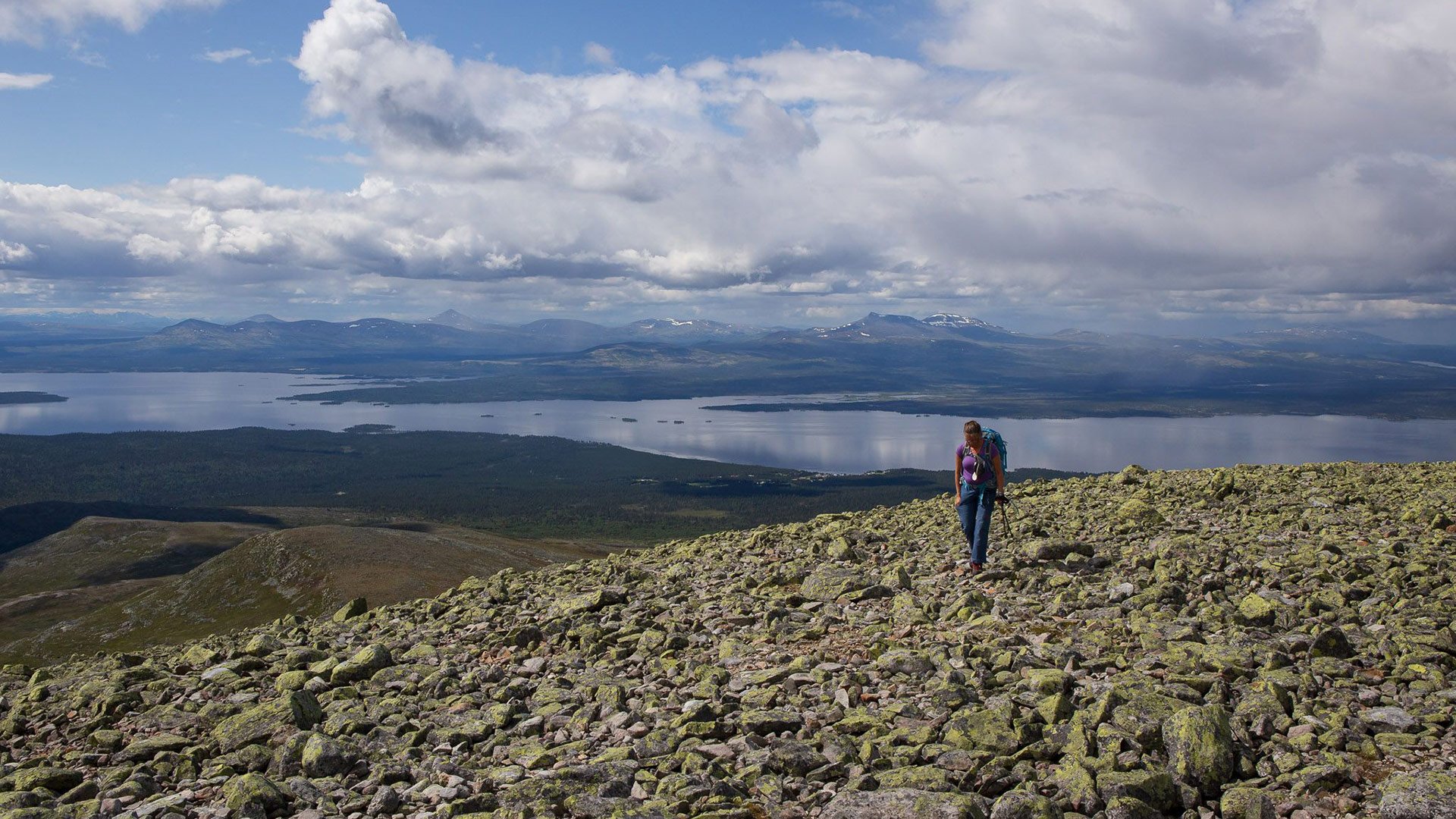 Elgåhogna. Photo: Elgåhogna. Foto: Jan Nordvålen (Femundsmarka nasjonalpark)