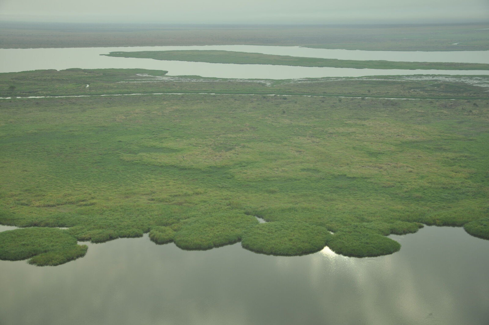 Gambella National Park. Photo: © African Parks / African Parks