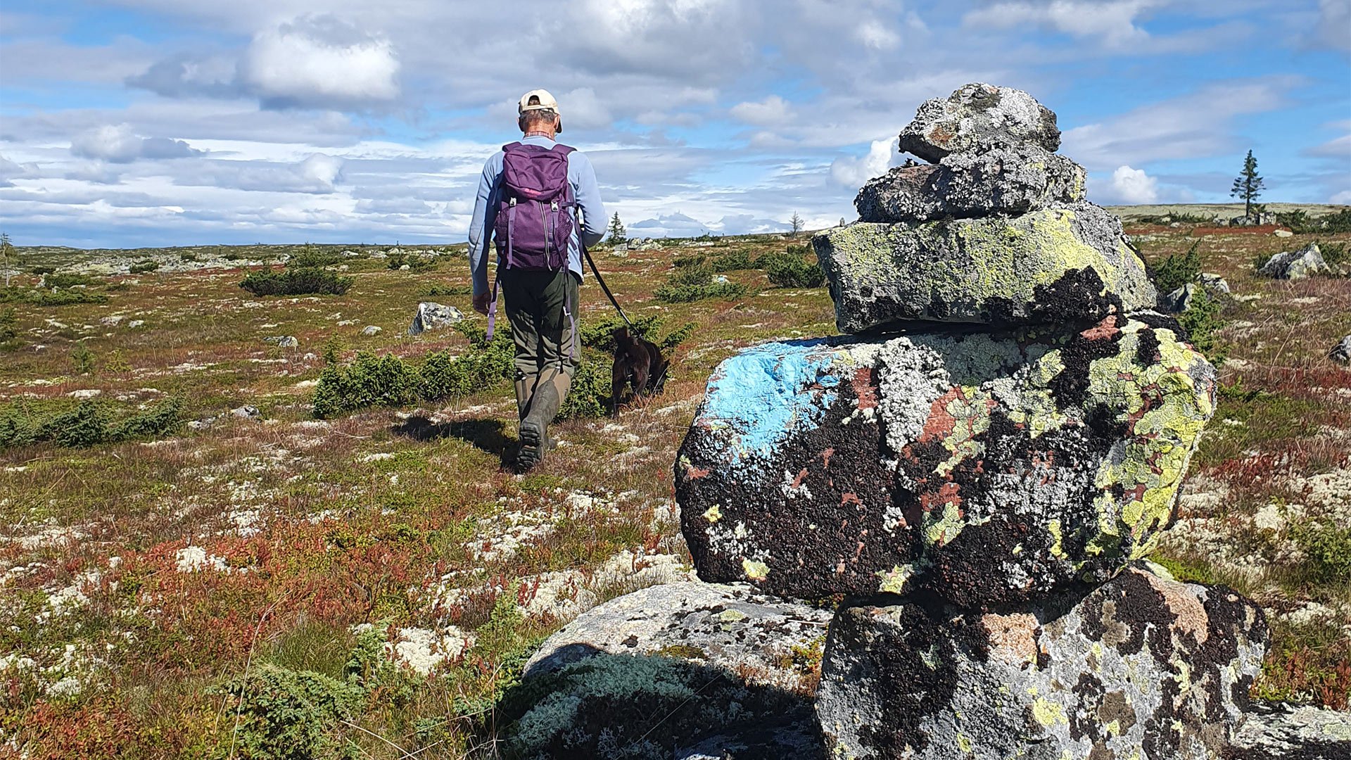 Särnvegen ved Girdalssætra. Photo: På tur i Fulufjellet. Foto: Ariane Bekk Norstad (Fulufjellet nasjonalpark)