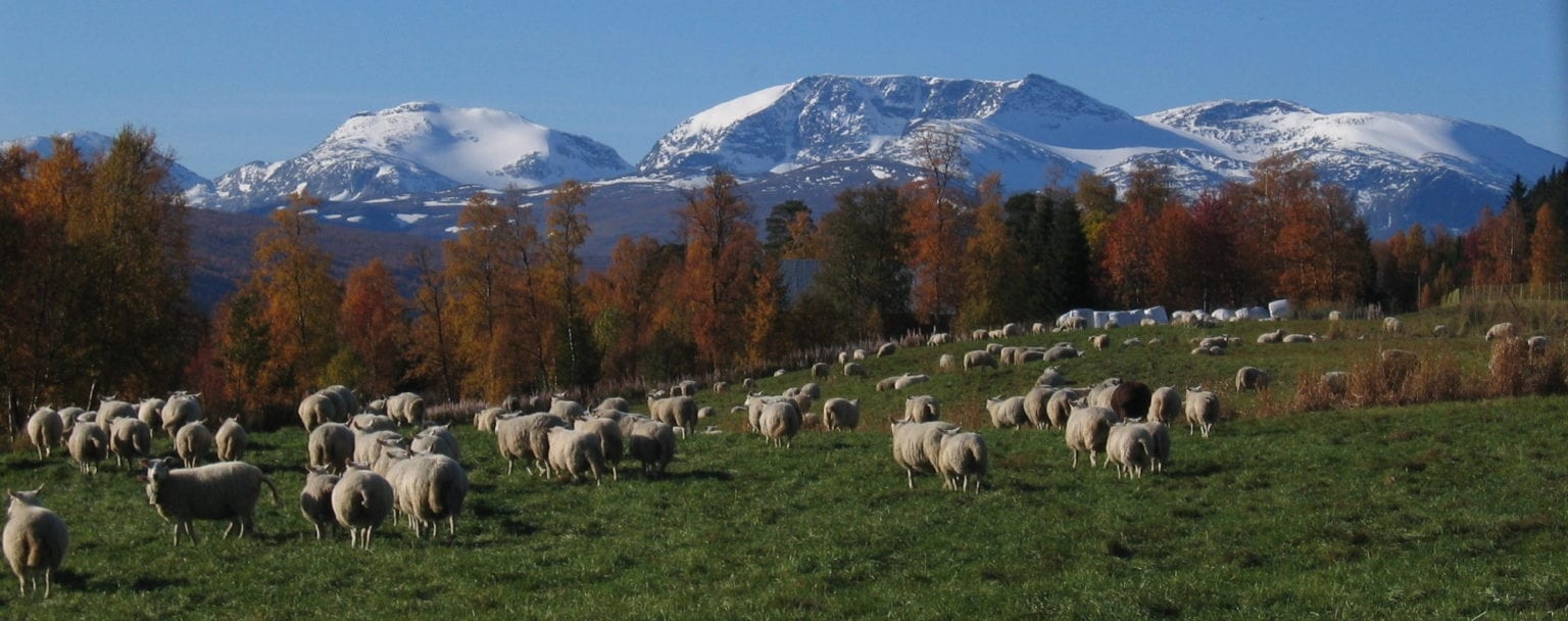 Vefsna Regionalpark