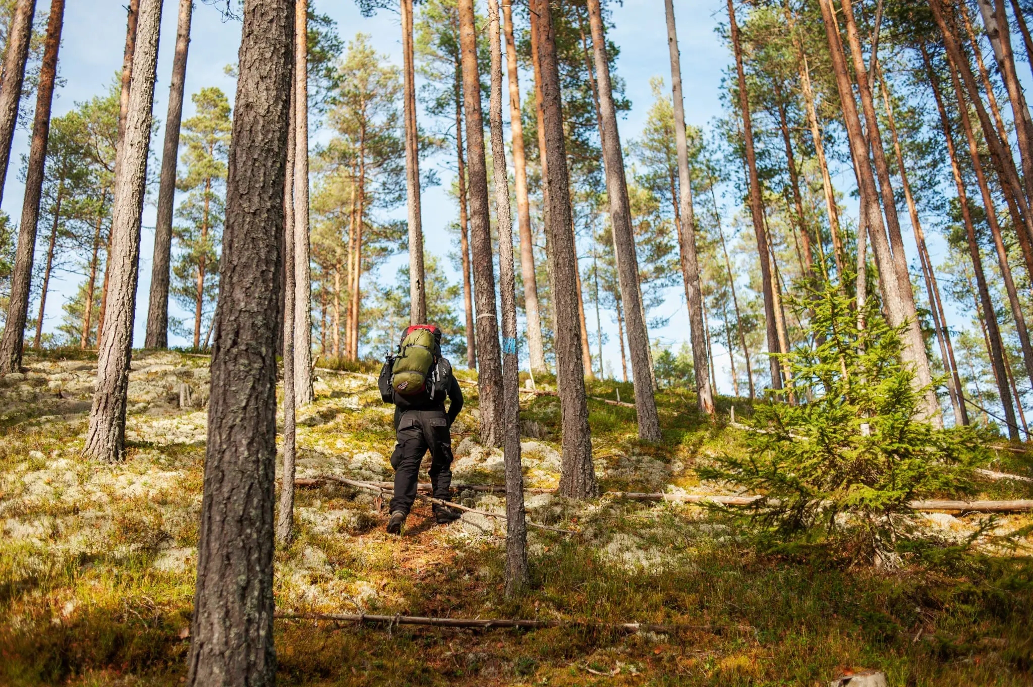 Finnskogleden (Start)