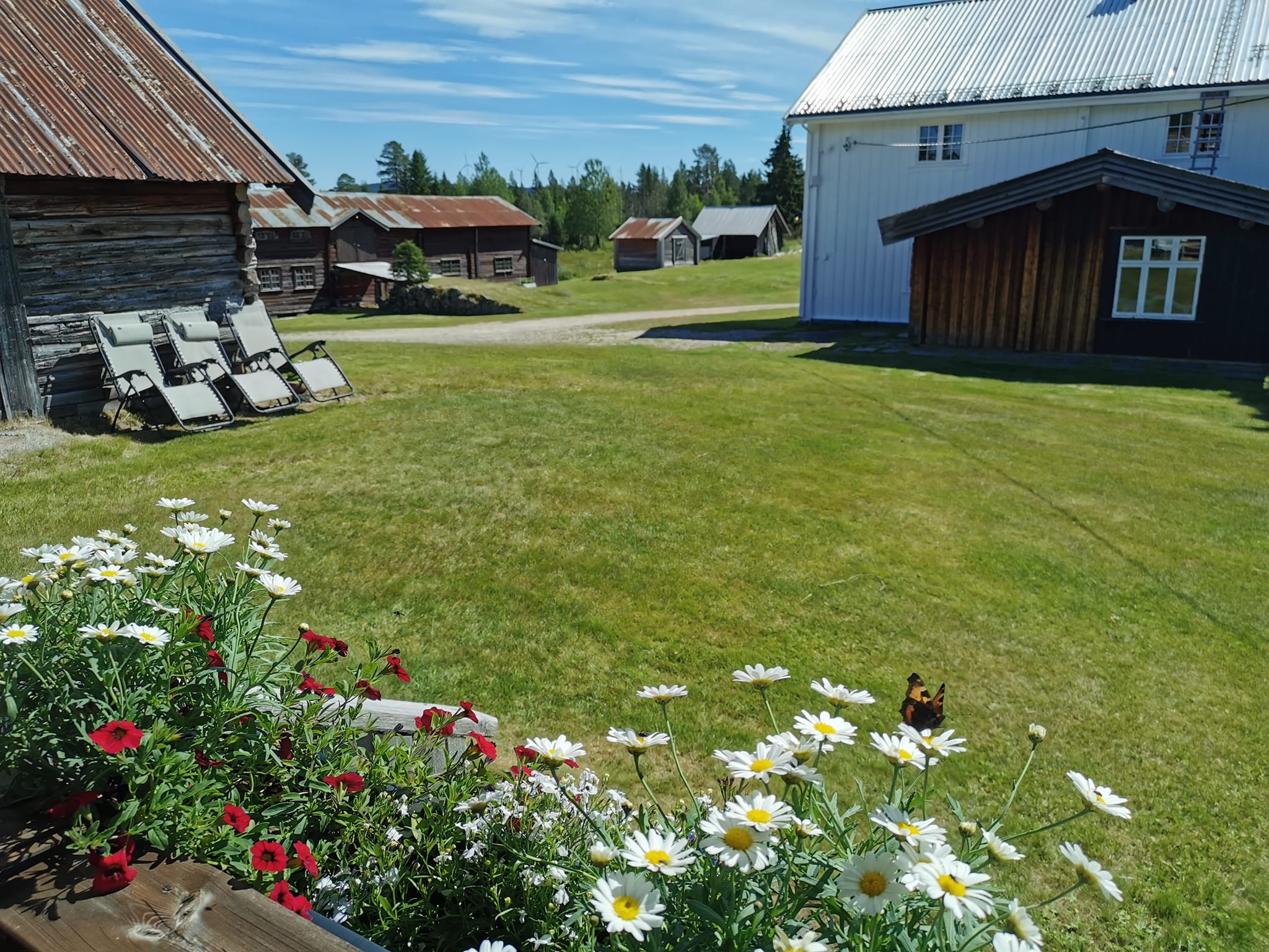 Håberget Finngård