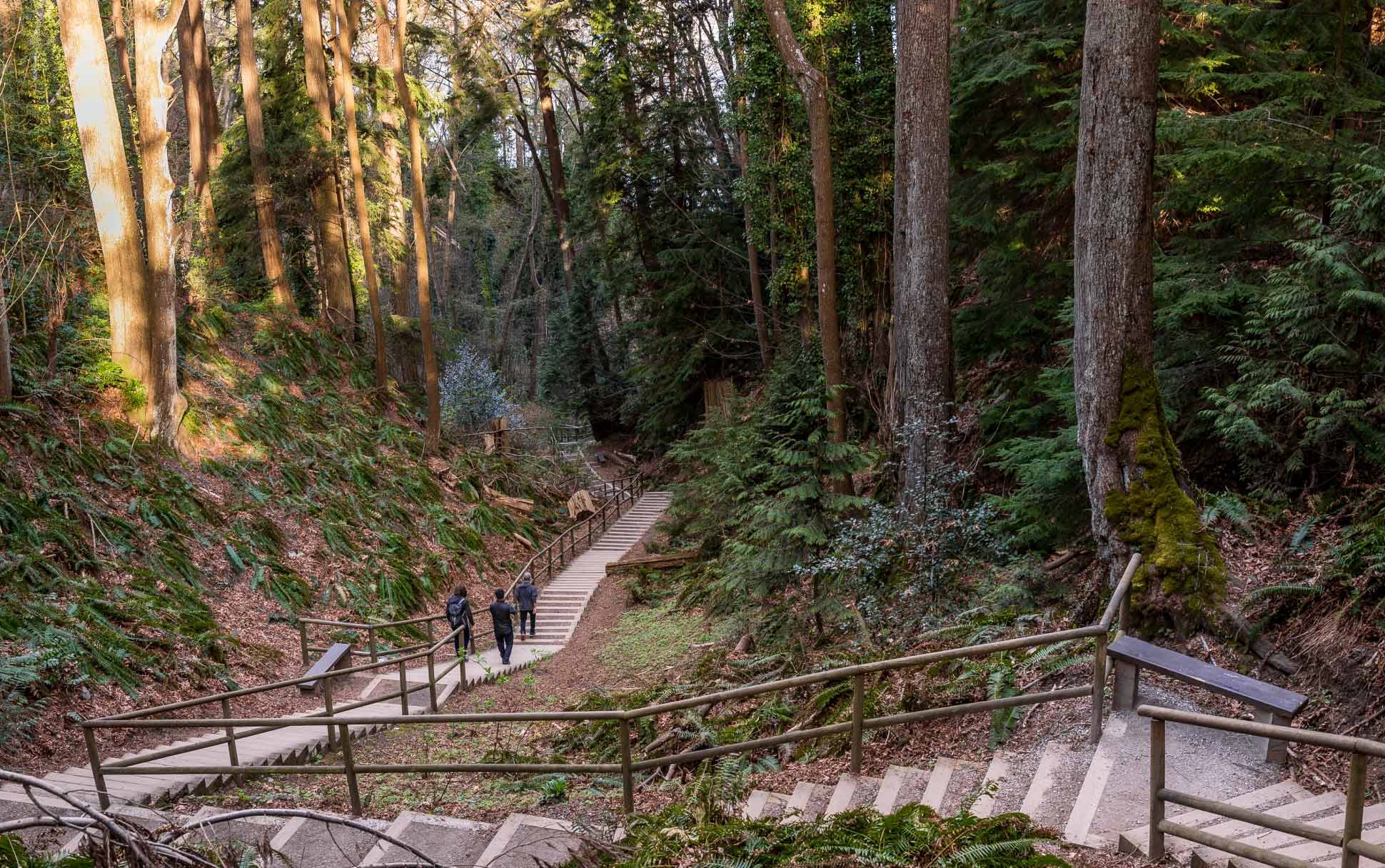 Pacific Spirit Regional Park