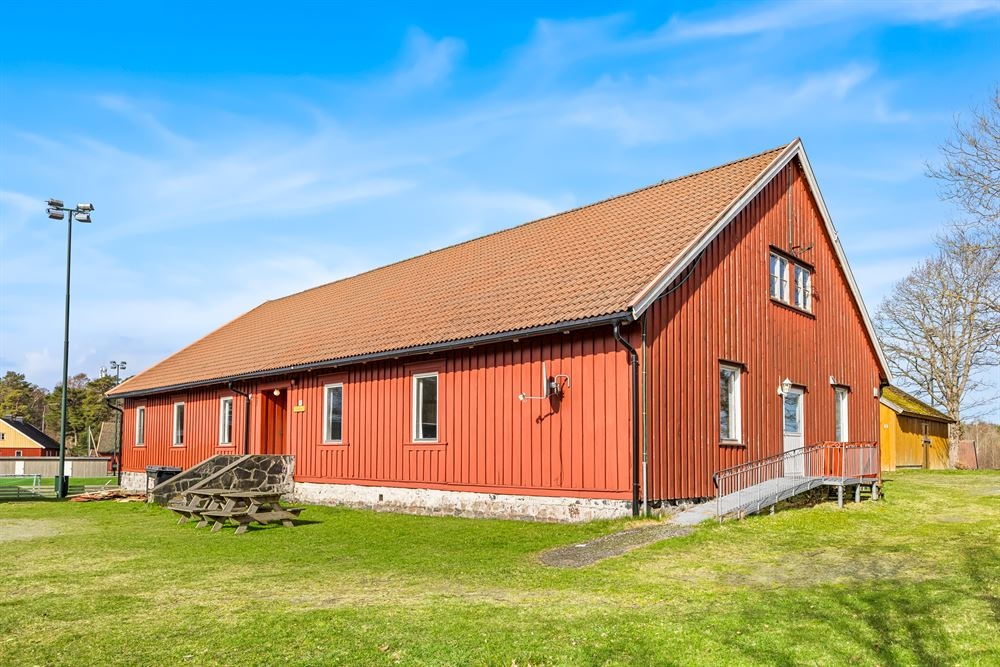 Blåklokke