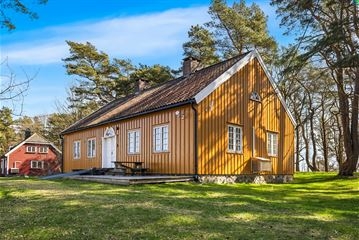Blåmeis