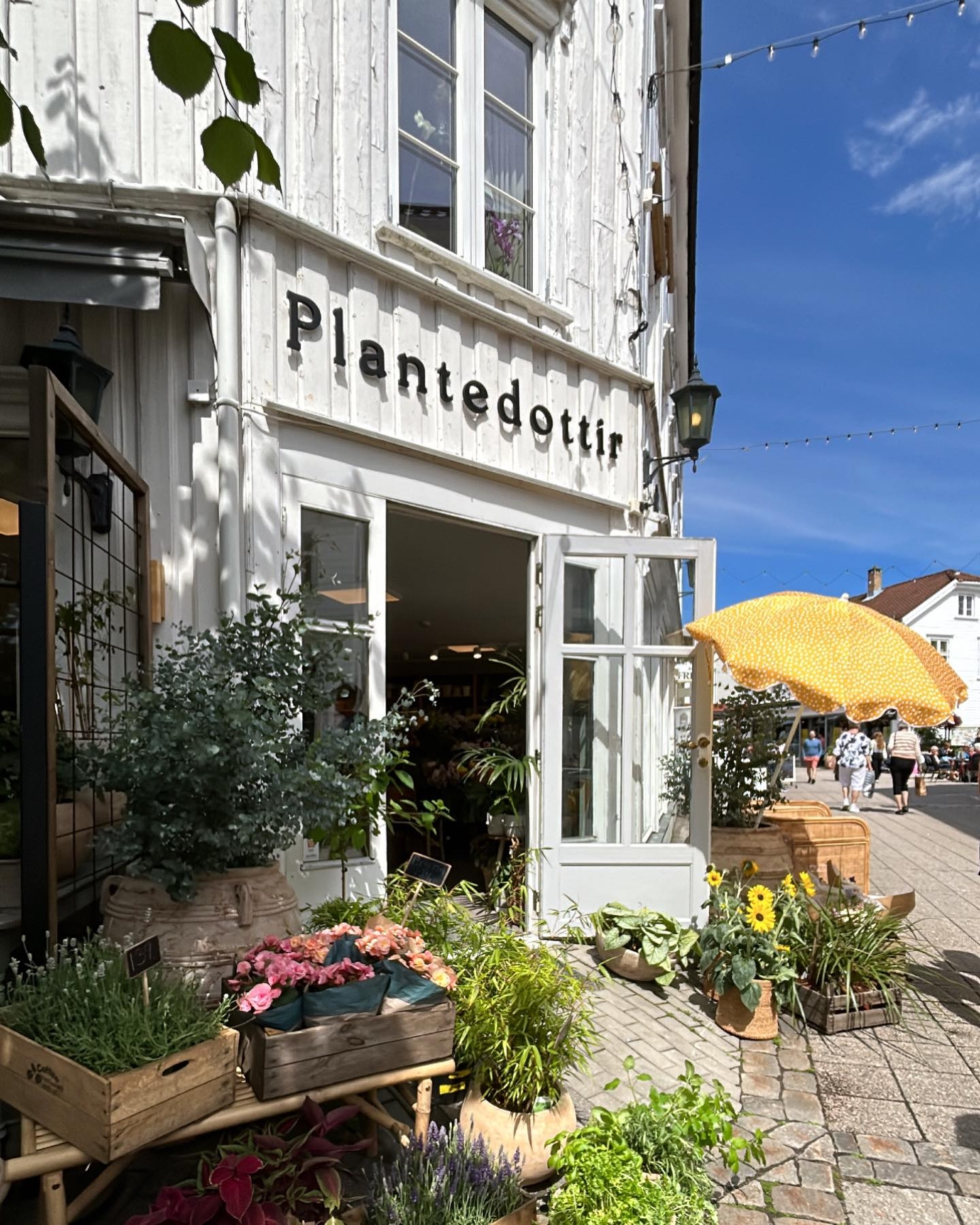 Plantedottir