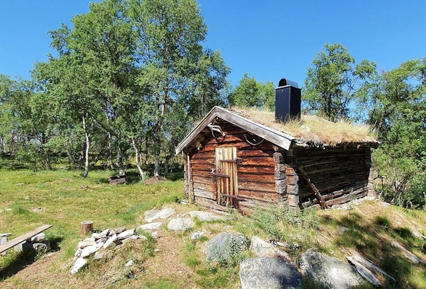 Muggsjølia