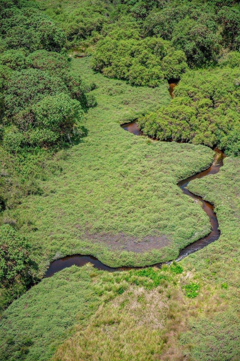 Kamiranzovu Swamp