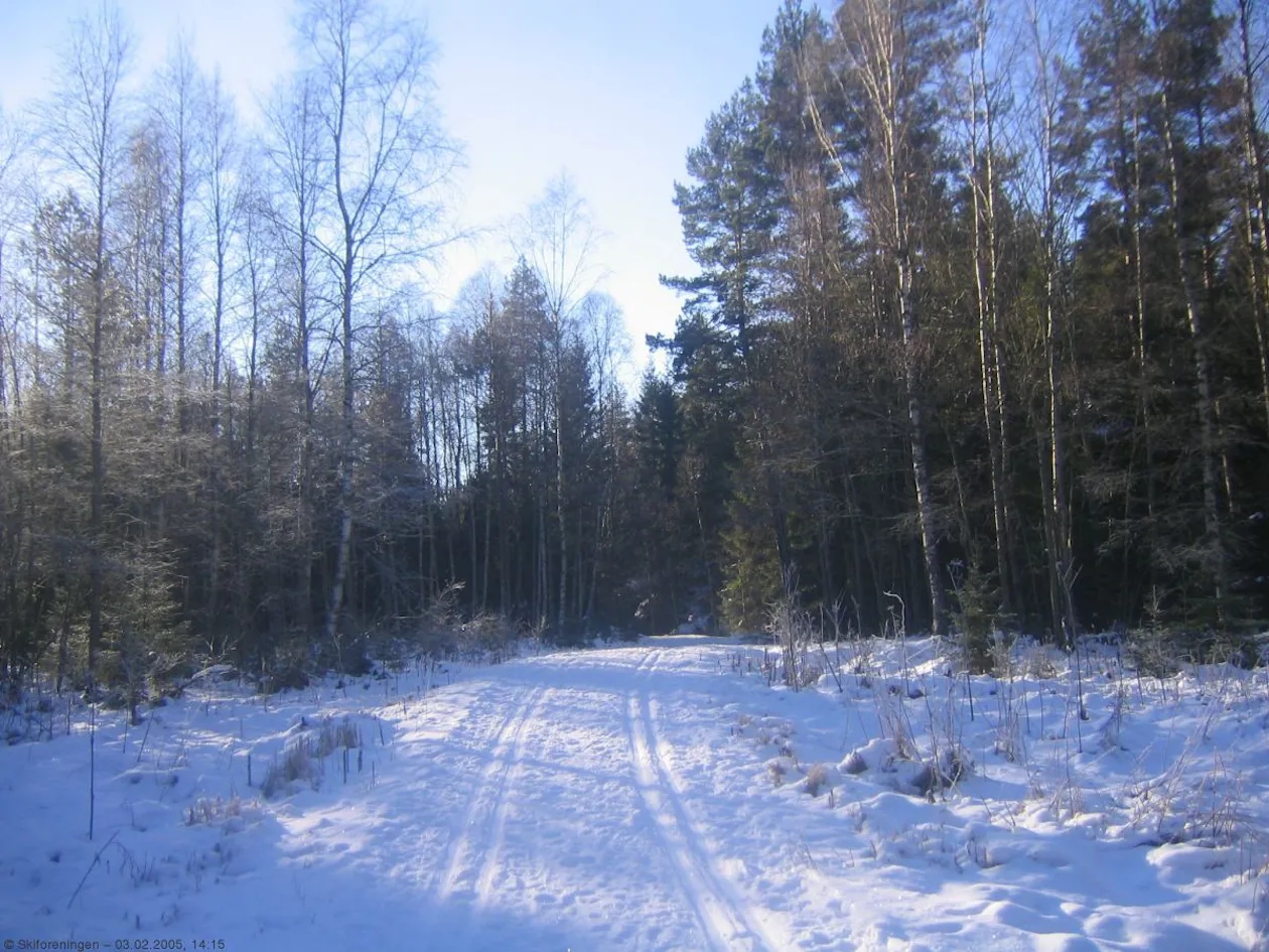Krokhol