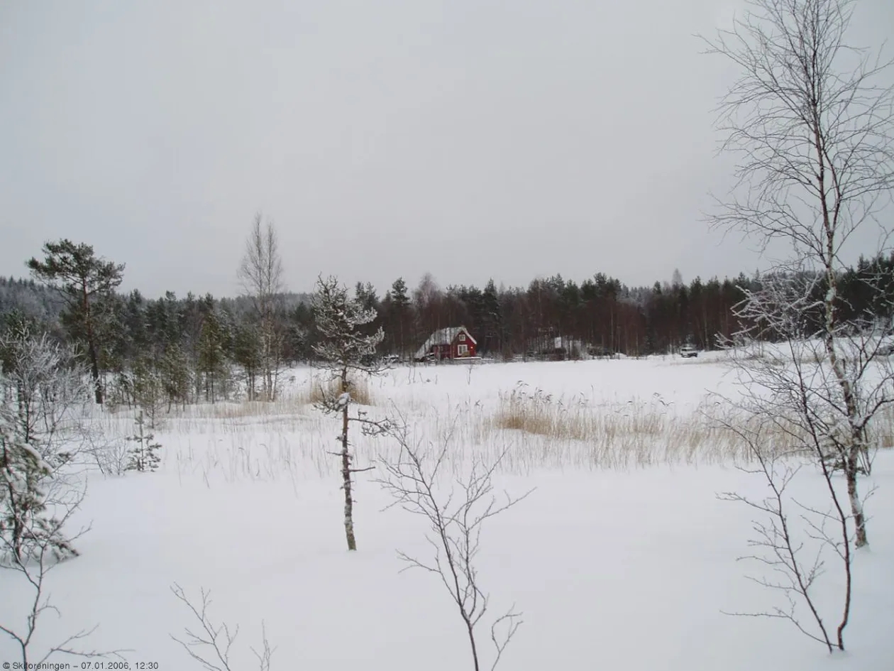 Bysetermåsan