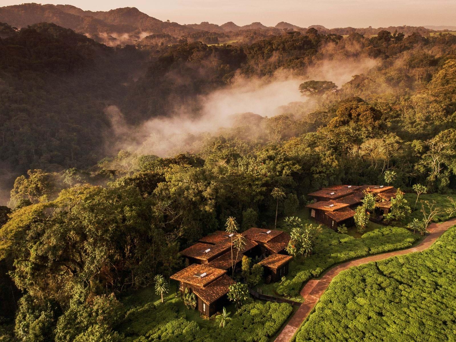 One&Only Nyungwe House