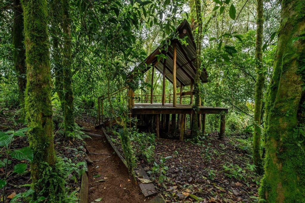 Gisakura Visitor Centre & Campsite
