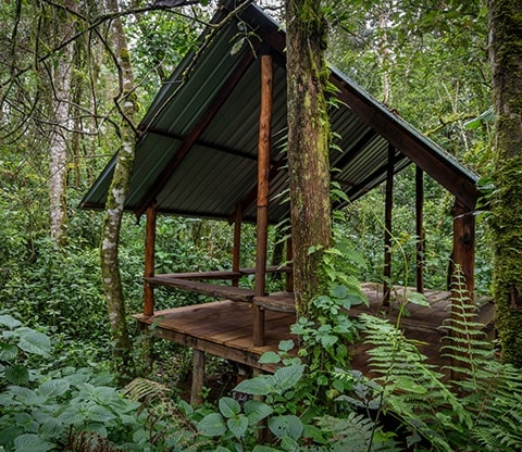 Gisakura Visitor Centre & Campsite