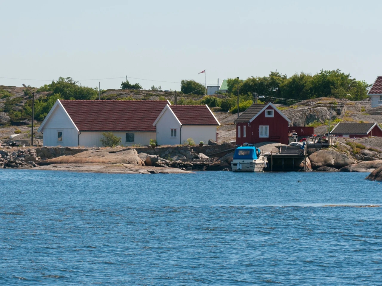 Lauer. Photo: Oslo Friluftsråd