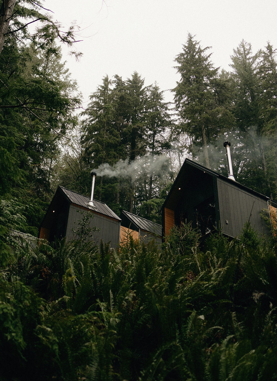 Mist Thermal Sanctuary