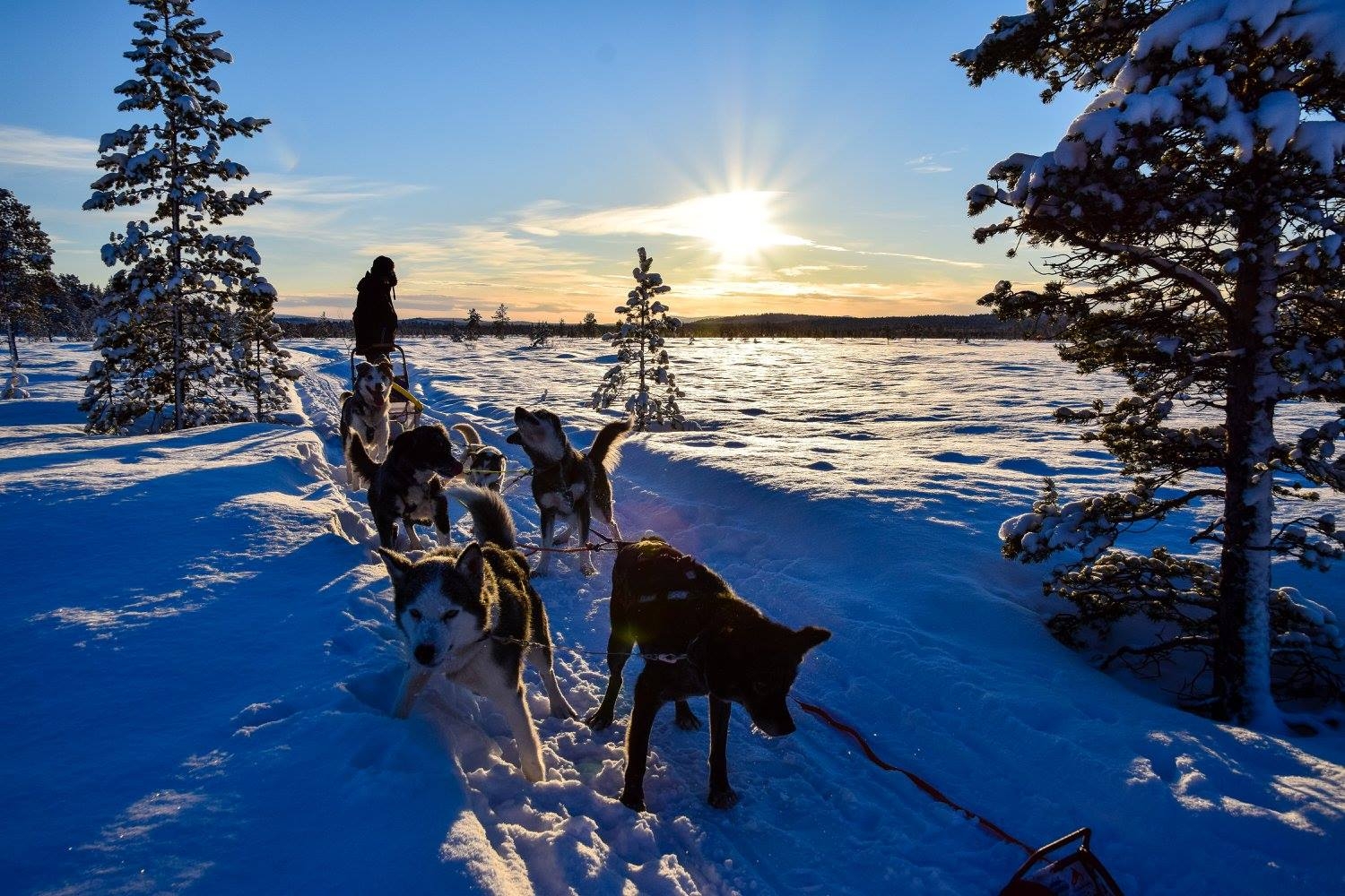 Visit Kirkenes Regionen