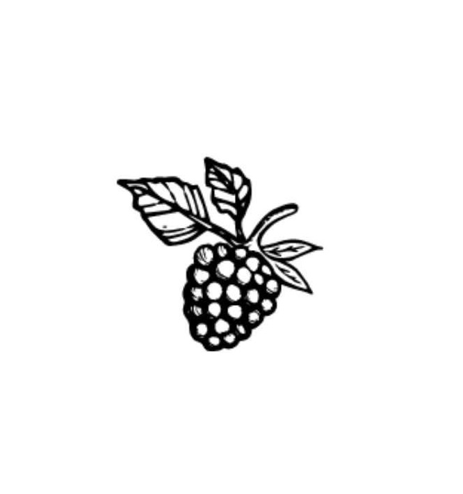Blackberry Cove Marketplace