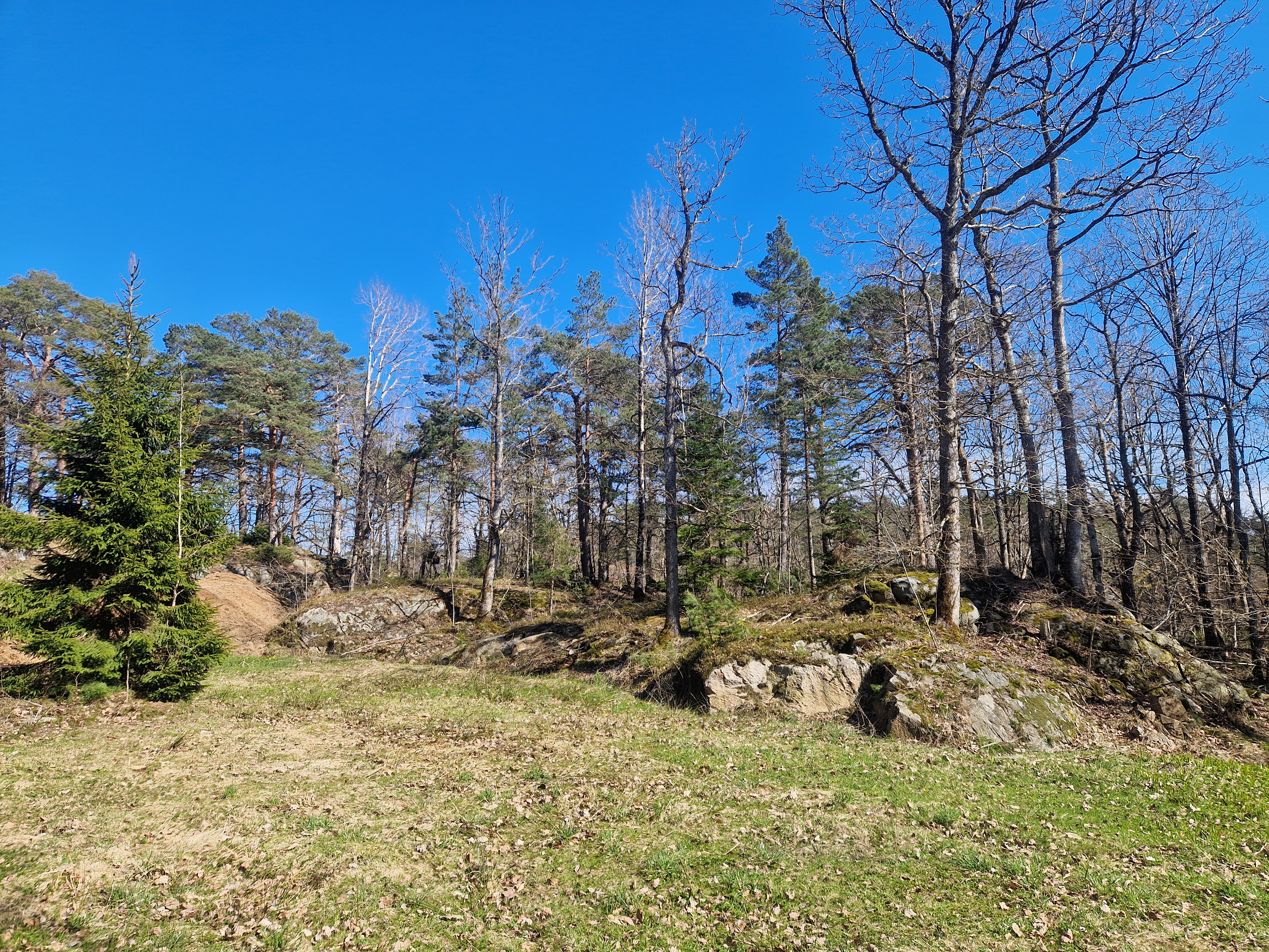 AI teltplass 25