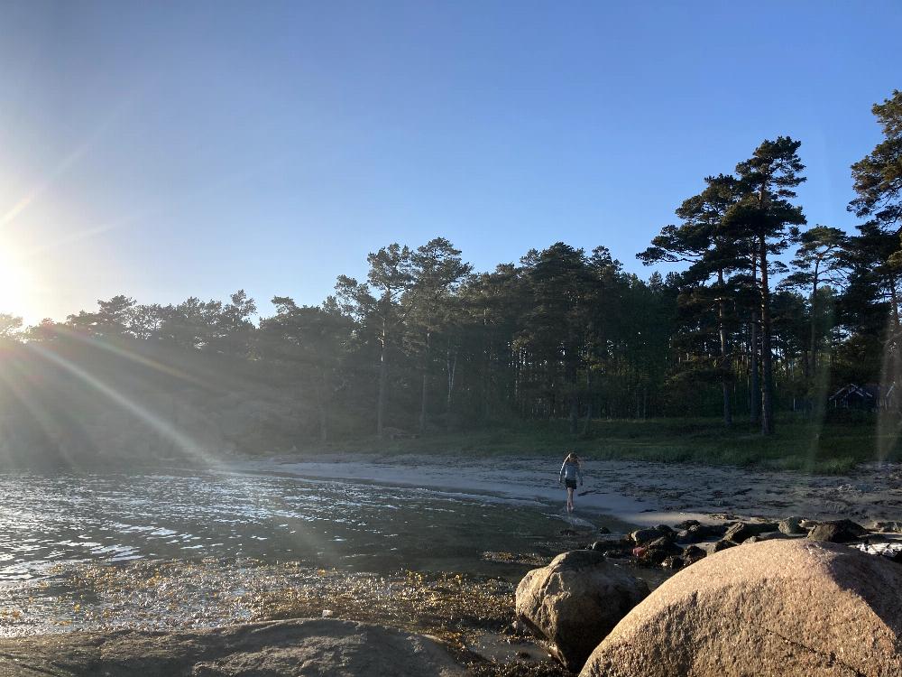 Moviga