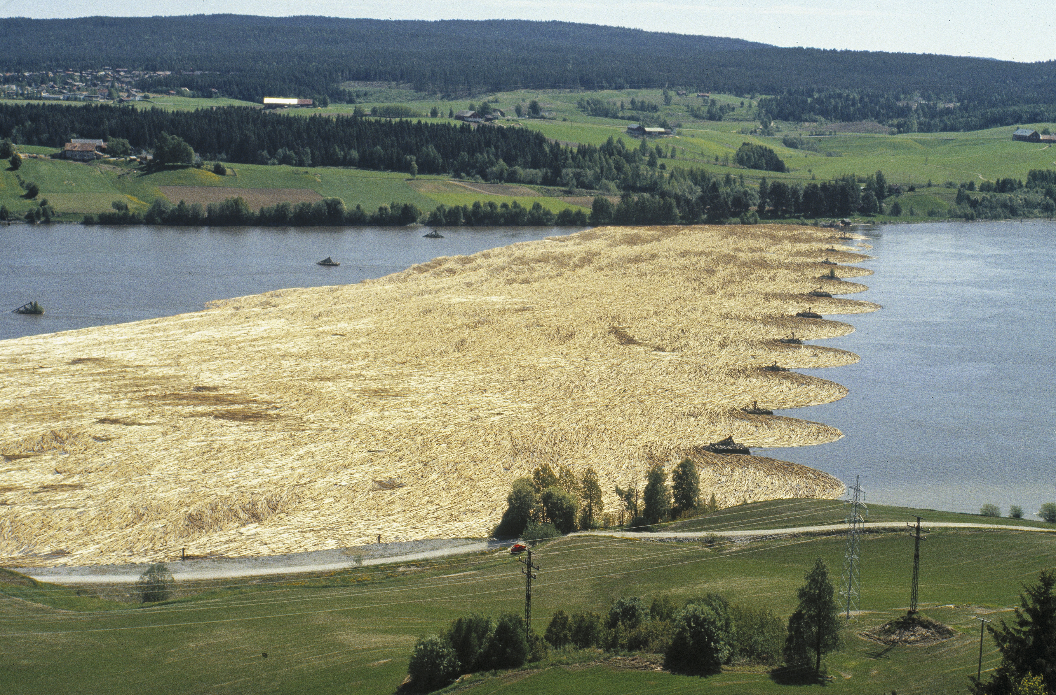 Bingen Lenser