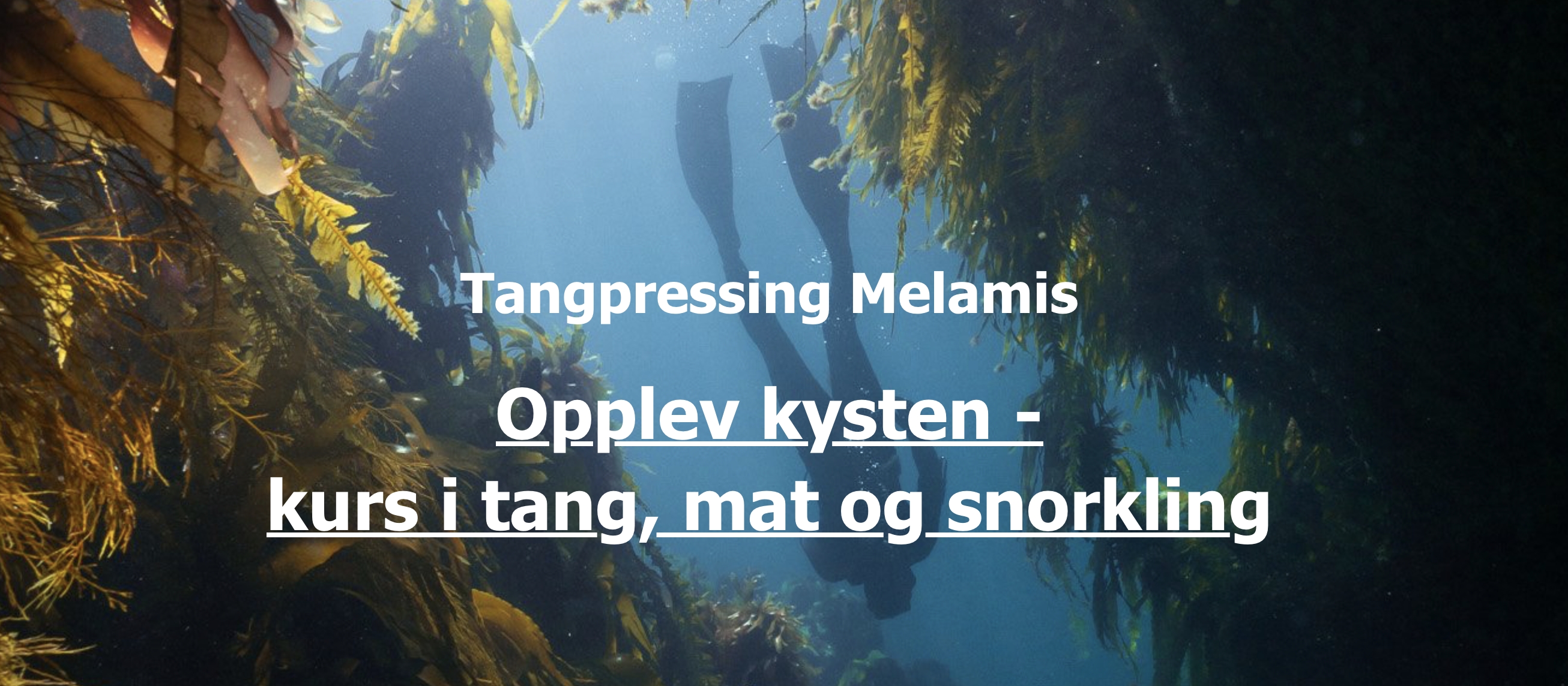 Tangpressing Melamis