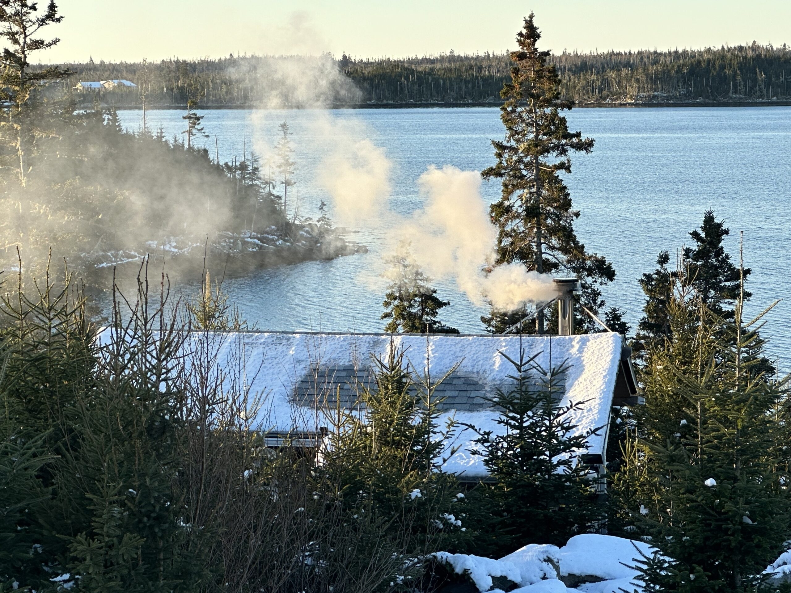 Blue Forest Sauna